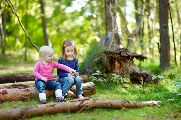 Schwestern sitzen auf Baumstämmen — Stockfoto