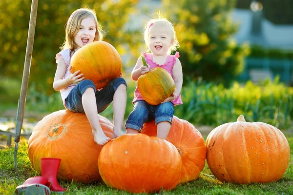 Sisters sitting on pumpkins — Stock Photo, Image