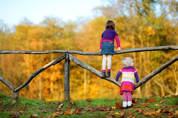 两个小姐妹在片秋色的公园 — 图库照片