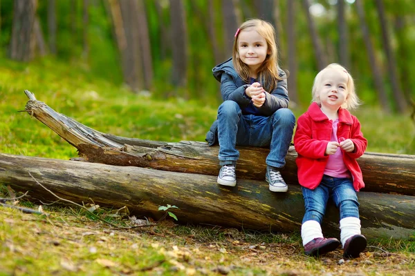 Irmãs sentadas em logs — Fotografia de Stock