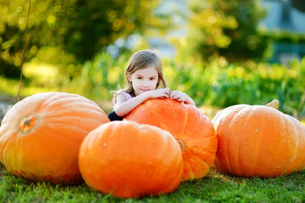 Girl embracing pumpkin — Stock Photo, Image