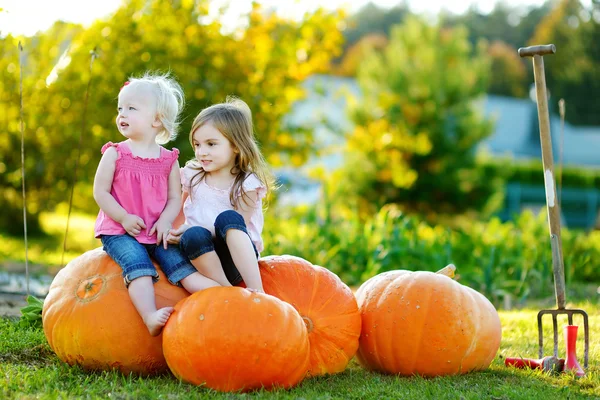 Hermanas sentadas en calabazas — Foto de Stock