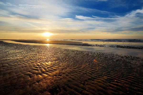 Schilderachtige Zonsondergang Aan Zandstrand Zomer — Stockfoto