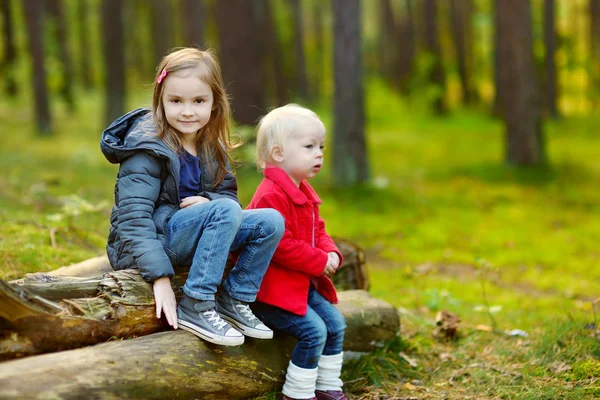 Schwestern sitzen auf Baumstämmen — Stockfoto