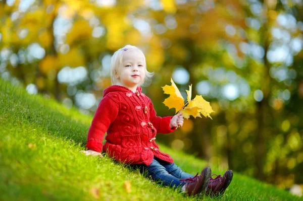 Ragazza seduta nella foresta — Foto Stock