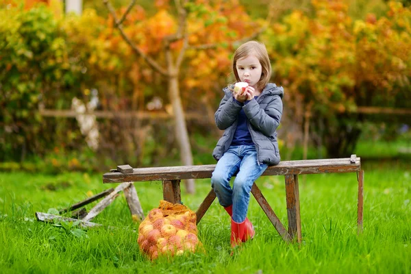Dziewczynka na jesienny dzień — Zdjęcie stockowe