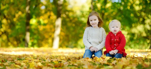 Sisters  in autumn park — Stock Photo, Image