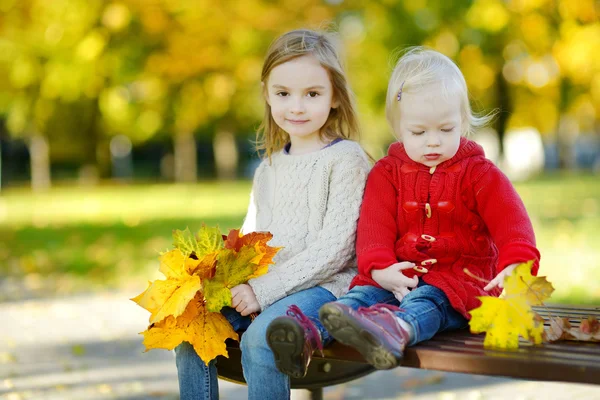 Hermanas en el parque de otoño — Foto de Stock