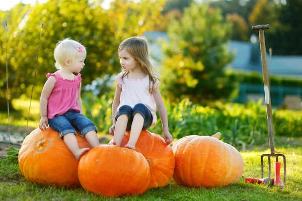 Sisters sitting on pumpkins Royalty Free Stock Images