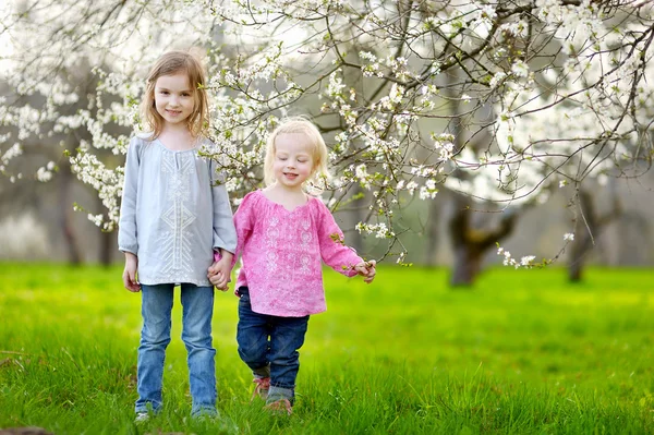 Little sisters in  garden — Stock Photo, Image