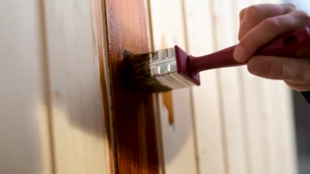 Vista de cerca de las manos masculinas paiting superficie de madera con mancha de madera — Vídeo de stock