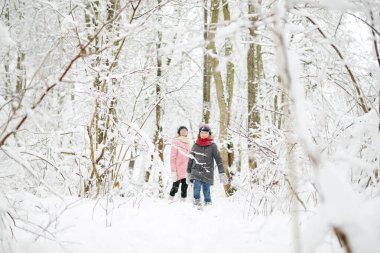 İki sevimli genç kız güzel kış parkında birlikte eğleniyorlar. Karda oynayan sevimli kız kardeşler. Çocuklu aileler için kış etkinlikleri.