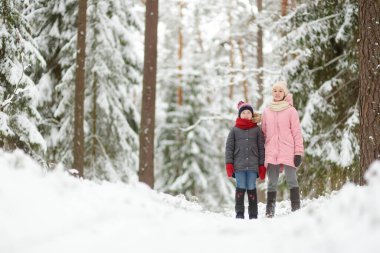İki sevimli genç kız güzel kış parkında birlikte eğleniyorlar. Karda oynayan sevimli kız kardeşler. Çocuklu aileler için kış etkinlikleri.