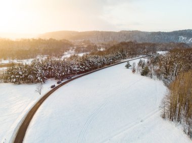 Çam ormanlarının karla kaplı güzel hava manzarası. Rime buzu ve ağaçları kaplayan buz kütleleri. Vilnius, Litvanya yakınlarındaki manzaralı kış manzarası.