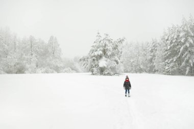 Tatlı genç kız kar yağarken güzel kış parkında eğleniyor. Karda oynayan sevimli bir çocuk. Çocuklu aileler için kış etkinlikleri.