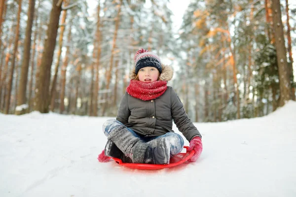 在美丽的冬季公园里玩雪橇的小女孩真有趣 可爱的孩子在雪地里玩耍 儿童冬季活动 — 图库照片