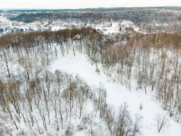 Beautiful Aerial View Snow Covered Pine Forests Rime Ice Hoar — Stock Photo, Image