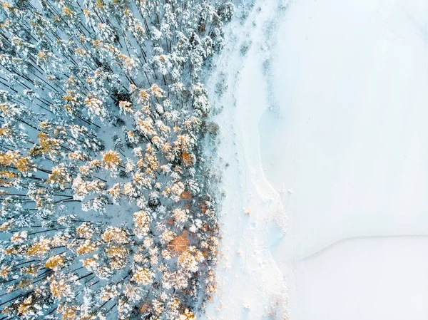 Krásný Letecký Pohled Zasněžené Borové Lesy Kolem Jezera Gela Zmrzlý — Stock fotografie