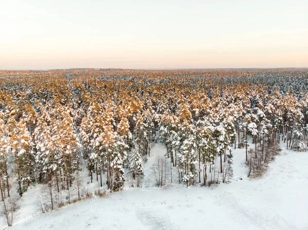 Красивый Вид Воздуха Озеро Бальзис Снежные Сосновые Леса Окружающие Небольшое — стоковое фото