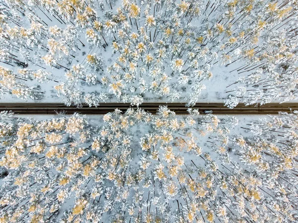 Krásný Letecký Pohled Zasněžené Borové Lesy Cestu Vinoucí Mezi Stromy — Stock fotografie