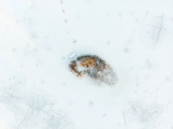 Schöne Luftaufnahme Von Schneebedeckten Kiefernwäldern Rund Den Gela See Reifglätte — Stockfoto