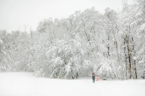 Garota Adorável Divertindo Belo Parque Inverno Durante Queda Neve Criança — Fotografia de Stock