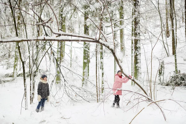 Zwei Entzückende Junge Mädchen Die Zusammen Spaß Wunderschönen Winterpark Haben — Stockfoto