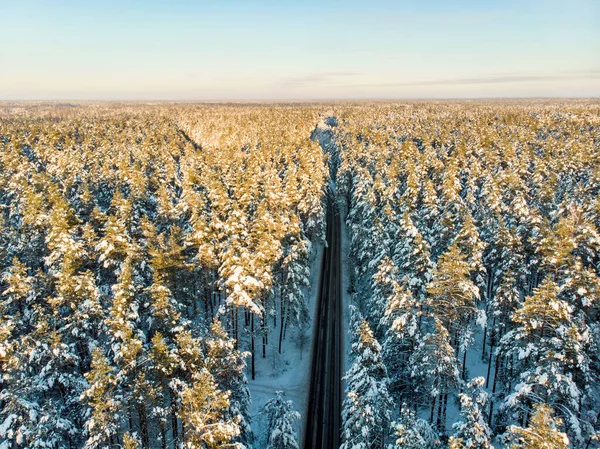 Красивый Вид Воздуха Заснеженные Сосновые Леса Дорогу Извивающуюся Между Деревьями — стоковое фото