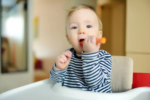 可爱的小男孩坐在白色的高椅子上吃胡萝卜 介绍第一种固体食物 婴儿新鲜有机蔬菜 有子女家庭的健康营养 — 图库照片