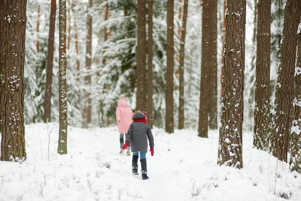 Δύο Αξιολάτρευτα Νεαρά Κορίτσια Διασκεδάζουν Μαζί Στο Όμορφο Χειμερινό Πάρκο — Φωτογραφία Αρχείου