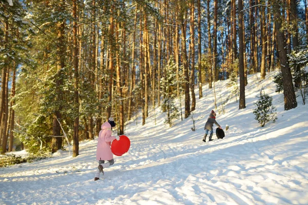 美しい冬の公園でそりを楽しんでいる2人の面白い若い女の子 雪の中で遊んでいるかわいい子供たち 子供のための冬の活動 — ストック写真