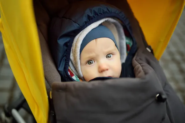 Söt Pojke Klädd Varma Kläder Sittande Barnvagn Utomhus Ett Litet — Stockfoto