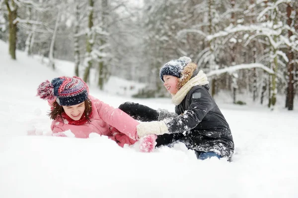 美しい冬の公園で一緒に楽しんでいる2人の愛らしい若い女の子 雪の中で遊んでかわいい姉妹 子供連れの家族のための冬の活動 — ストック写真