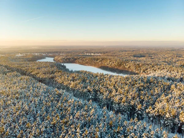 Schöne Luftaufnahme Von Schneebedeckten Kiefernwäldern Reifglätte Und Raureif Bedecken Bäume — Stockfoto