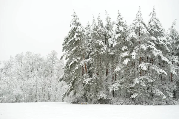 Hermosa Vista Del Bosque Cubierto Nieve Hielo Campanas Heladas Que — Foto de Stock