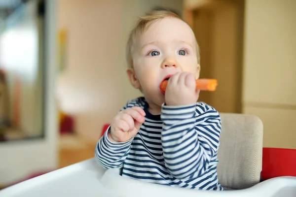 可愛い赤ん坊の男の子は白い高い椅子に座ってニンジンを食べる 最初の固形食の導入 幼児用の新鮮な有機野菜 子供を持つ家族のための健康的な栄養 — ストック写真