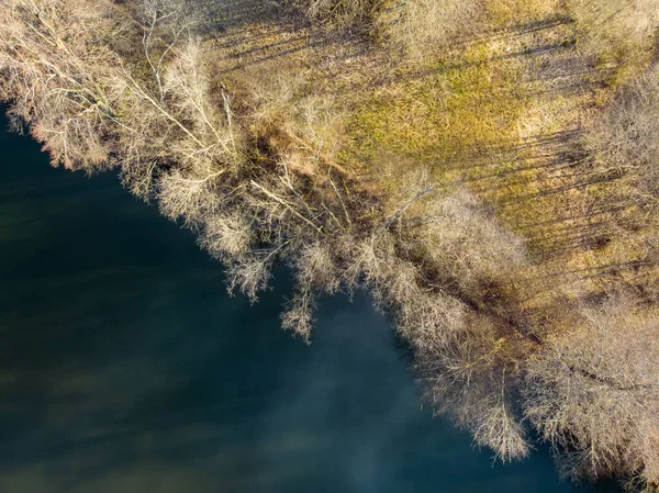 Aerial View Lake Coast Overgrown Sedge Dry Grass — Stockfoto