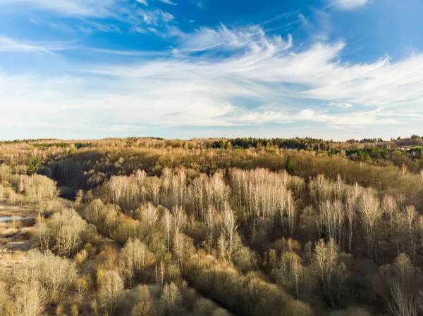 Aerial View Woods Cloudy Sky — Stock Photo, Image