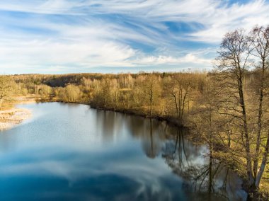 Göl kıyısı ve ormanın havadan görünüşü