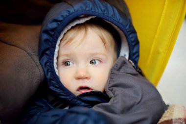 Erkek bebeğin portresini kapat.