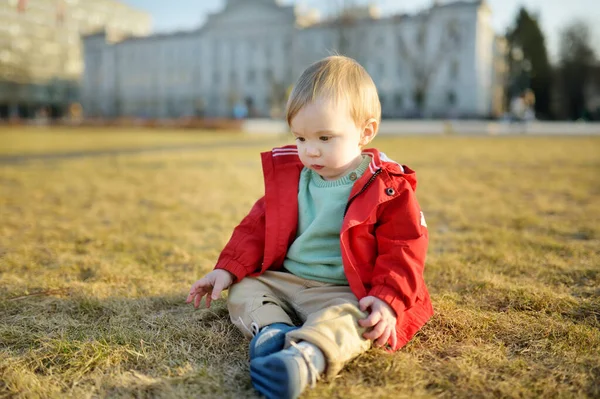 Милий Однорічний Хлопчик Сидить Сухій Траві Міському Парку Сонячний Весняний — стокове фото