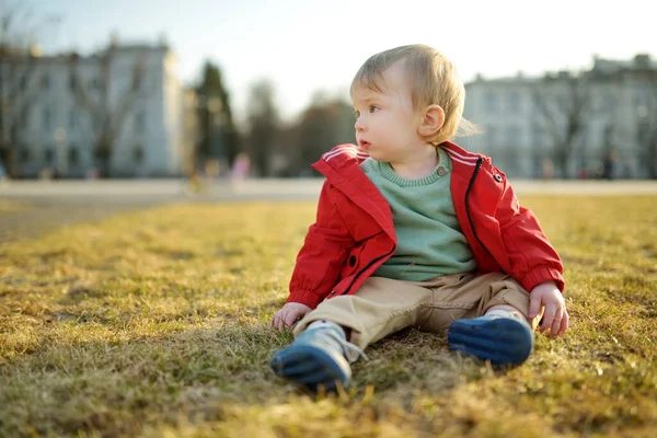 Güneşli bir bahar gününde şehir parkında çimlerin üzerinde oturan sevimli bir oğlan çocuğu. Doğayı keşfeden küçük bir çocuk. Çocuk dışarıda harika vakit geçiriyor..