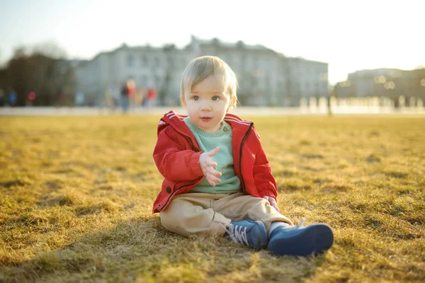 Leuke Eenjarige Baby Jongen Zittend Droog Gras Een Stadspark Zonnige — Stockfoto