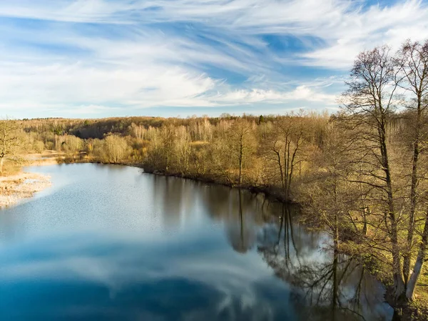 Göl kıyısı ve ormanın havadan görünüşü