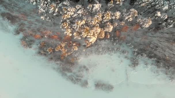 Gyönyörű légi felülről lefelé kilátás hófödte fenyőerdőkre a Gela-tó környékén — Stock videók
