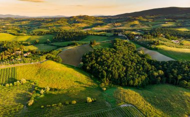 San Gimignano şehrinin etrafındaki sonsuz üzüm bağlarının havadan görünüşü. Üzüm bağları, üzüm bağları çoğunlukla Toskana, İtalya 'da şarap üretimi için yetiştirilir.