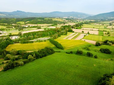 Pastoral yeşil tarlaların ve tarım alanlarının göz kamaştırıcı hava manzarası. İtalya, Toskana 'nın kayan tepeleri, kıvrımlı yolları ve selvilerinin yaz manzarası.