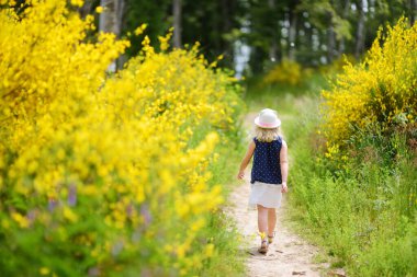 Avrupa 'nın en büyük ormanlarından biri olan Casentino laik ormanında La Verna Sığınağı' nın etrafındaki Chiusi della Verna patikasını takip eden genç bir kız. Foreste Casentinesi, Toskana, İtalya.