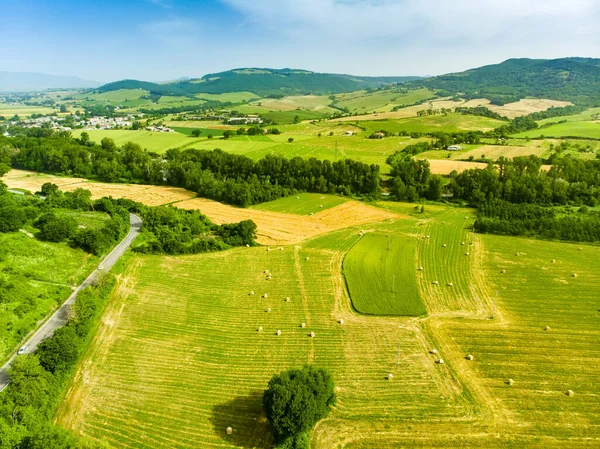 Pastoral Yeşil Tarlaların Tarım Alanlarının Göz Kamaştırıcı Hava Manzarası Talya — Stok fotoğraf