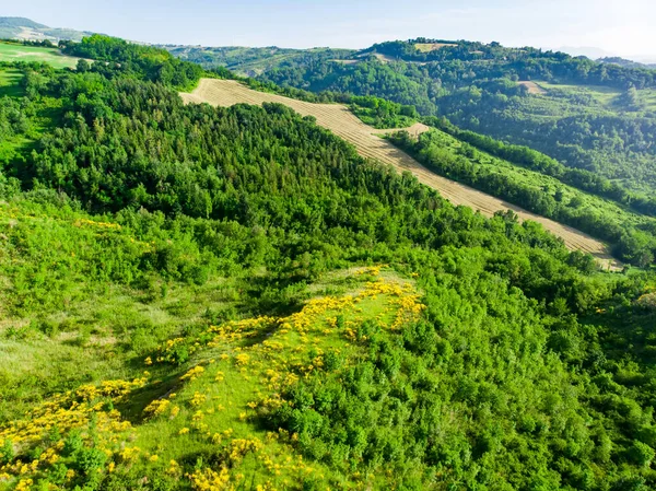 Pintorescas Vistas Aéreas Verdes Campos Colinas Que Rodean Microestado San — Foto de Stock